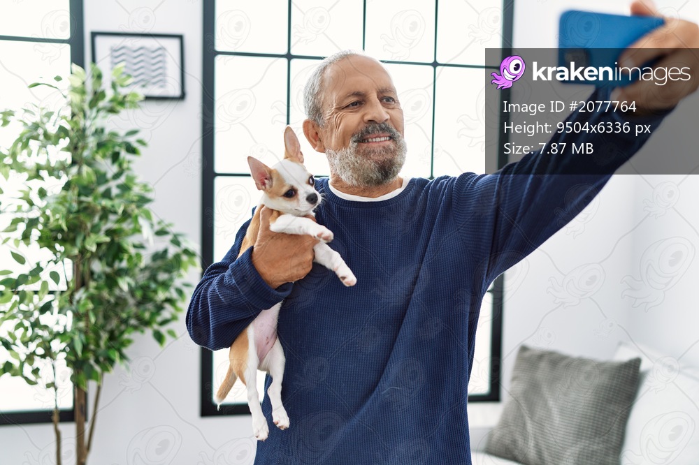 Senior grey-haired man making selfie by the smartphone holding chihuahua at home